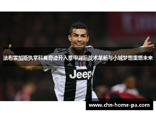 法布雷加斯执掌科莫奇迹升入意甲背后战术革新与小城梦想重燃未来